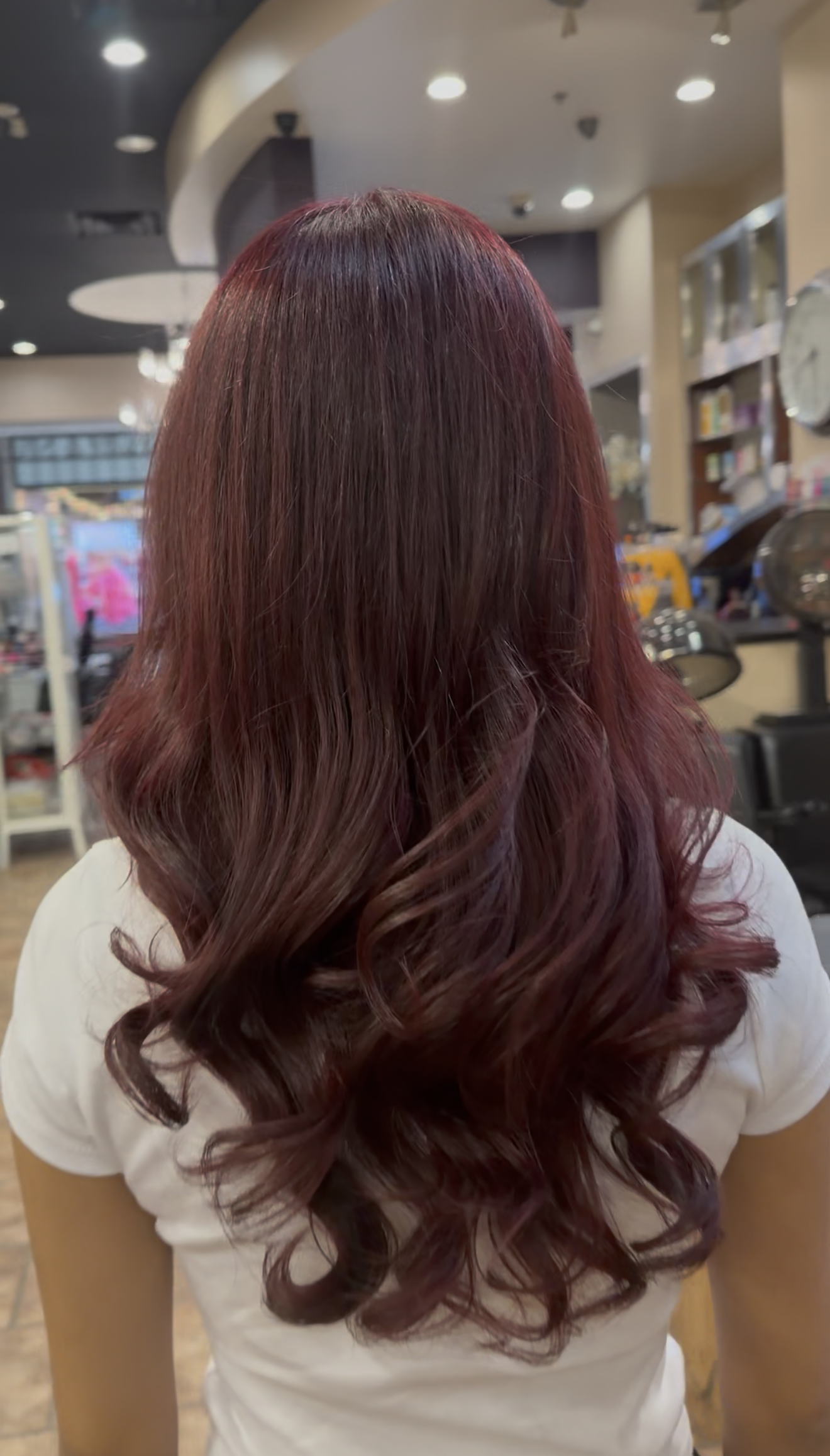 Salon Client Work